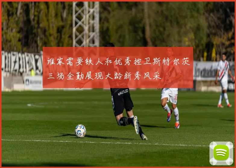 谁家需要铁人和优秀控卫斯特尔茨三场全勤展现大龄新秀风采